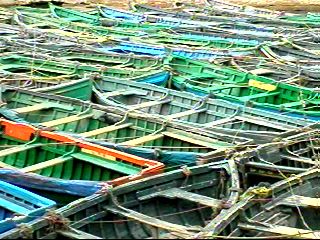 Fishing boats