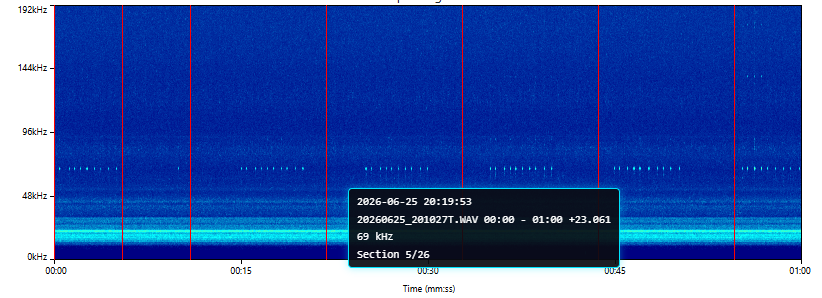 Spectrogram of the first overnight hydrophone recording